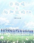 日向坂之向阳处的TA