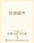 传承国术