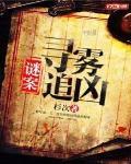 谜案:寻雾追凶
