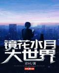 镜花水月大世界