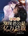 闪婚后,发现老公是亿万总裁