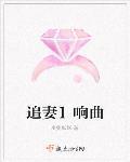 追妻交响曲