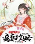 江山为聘:闲王的追妻攻略