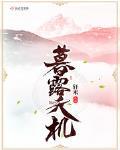 暮露天机