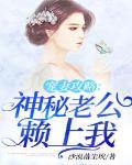 宠妻攻略:神秘老公赖上我