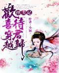 择夫记:欢喜穿越待君归