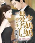 二婚不昏,独爱名门少奶奶