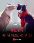 联盟:开局辅助水子哥