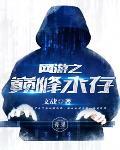 网游之巅峰永存