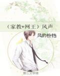 (家教+网王)风声